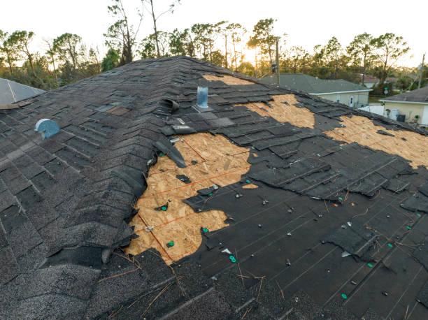 Best Sheet Metal Roofing  in Lakes Of The Four Seasons, IN